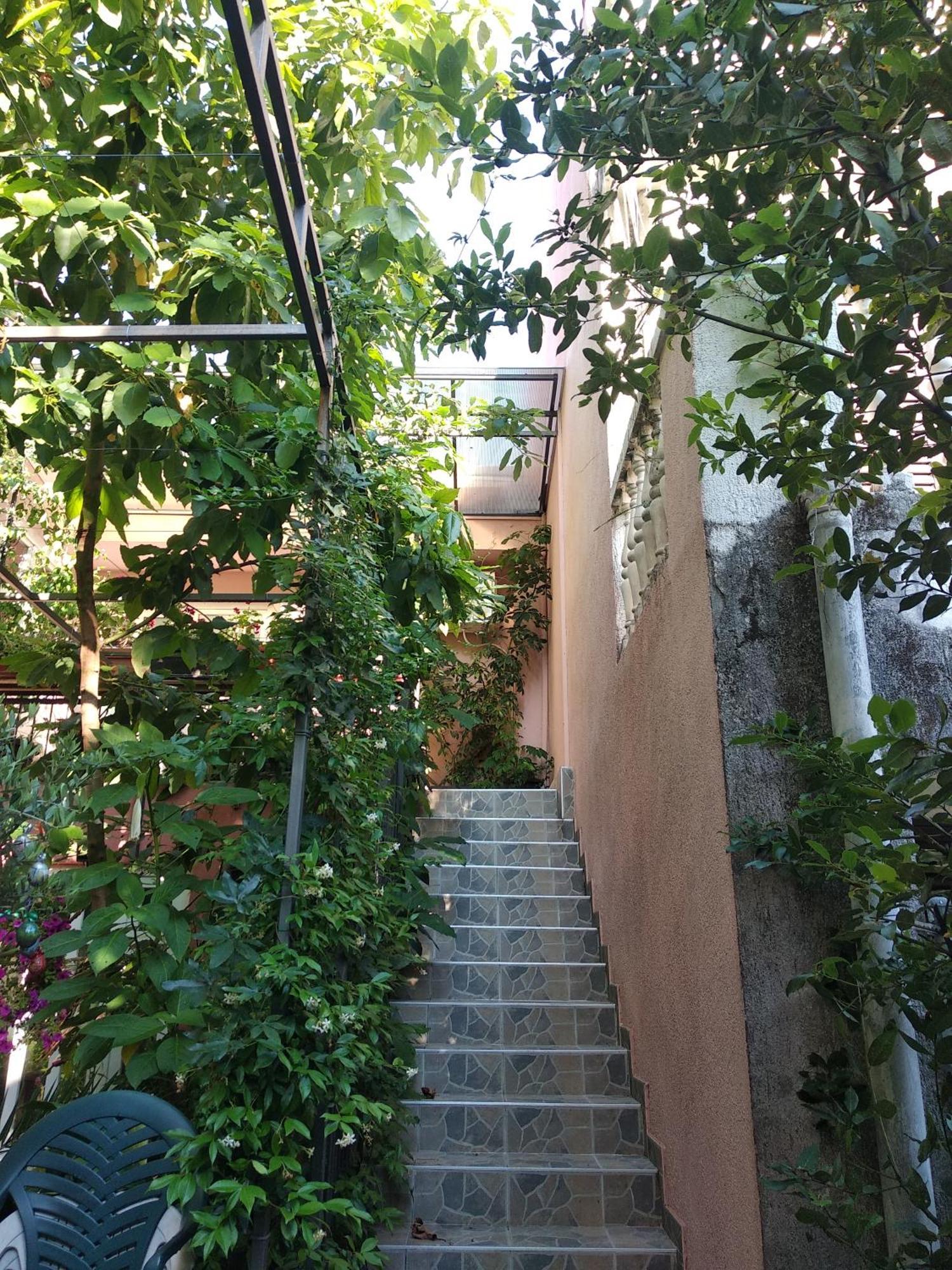 Villa Stanivukovic Budva Exteriör bild